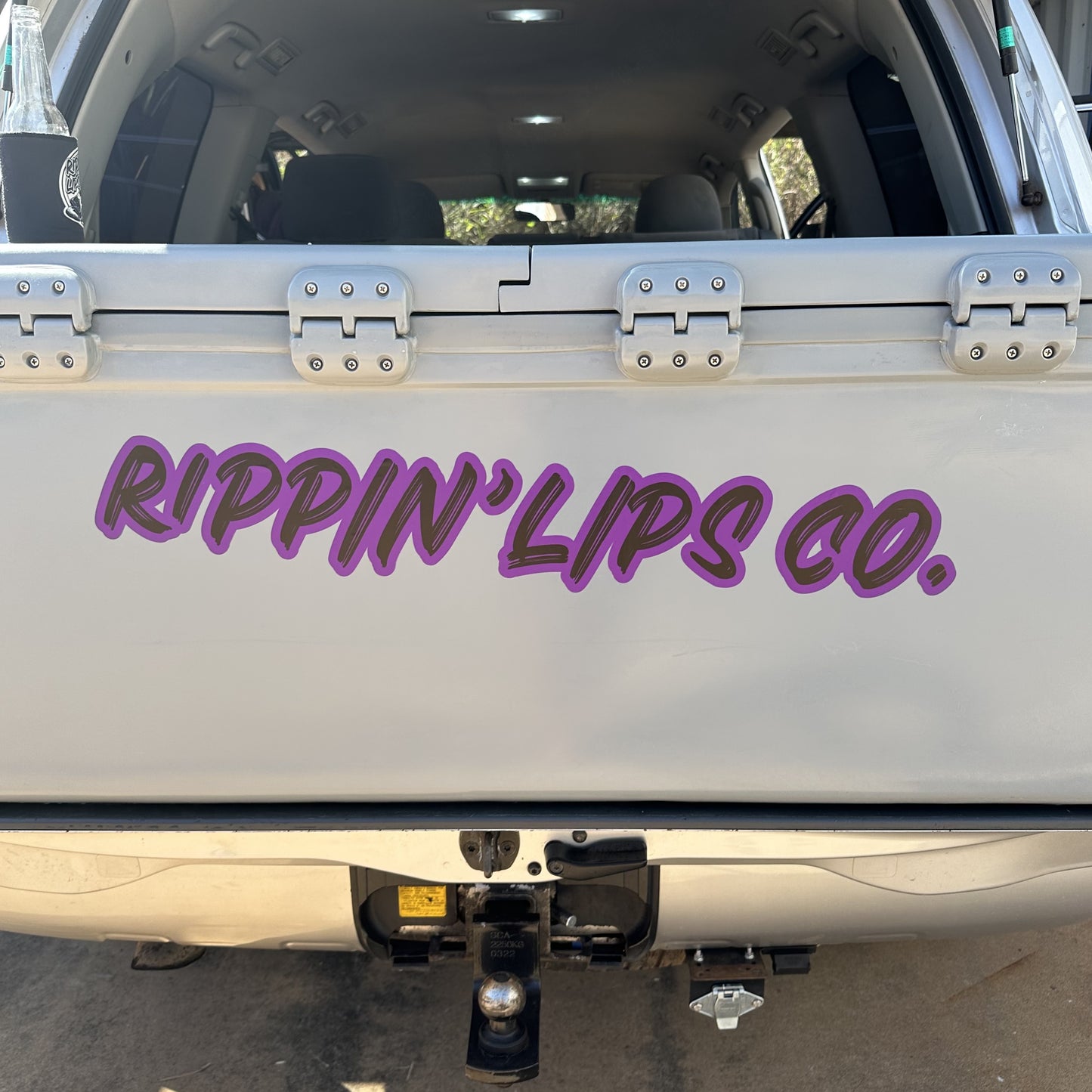 BIG BOUY STICKER - ASSORTED COLOURS