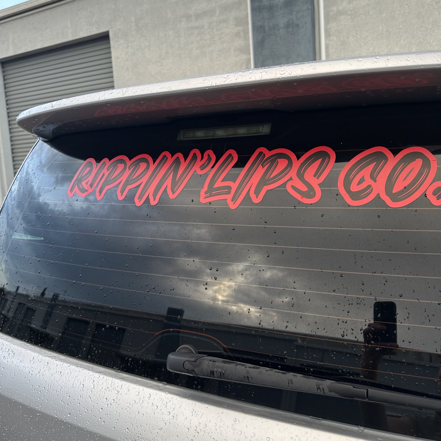 BIG BOUY STICKER - ASSORTED COLOURS
